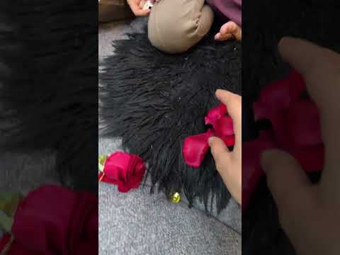 جربنا نعرف من الوردة 🌸شو جنس المولود يلي حامل فيه أم احمد و ريان وتالا🙈 #بيسو