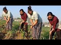 Tagiya Basti Chargare Last Video