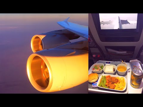 Lufthansa Airbus A380-800 Premium Economy Shanghai - Frankfurt (D-AIMN)