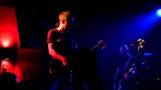 Toadies-Intro-Mexican Hairless