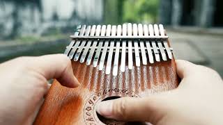 Video thumbnail for Kalimba Gecko K17K by Instruments du Monde