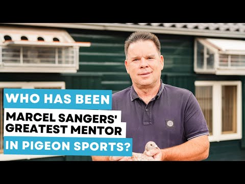 Marcel Sangers Rapid Q&A