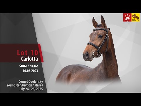 Cornet Obolensky Auction/Mares Lot 10 Carlotta Stute v. Cornet Obolensky - Numero Uno