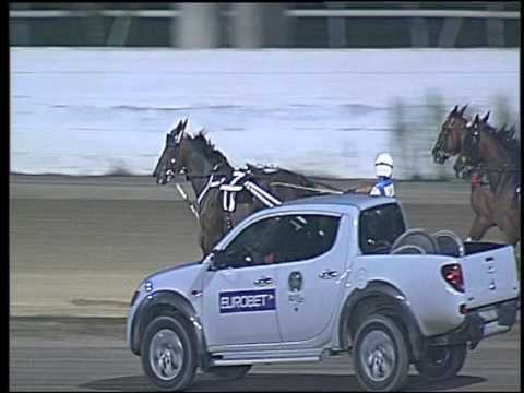 Trotto 16/09/2016 - 8ª corsa