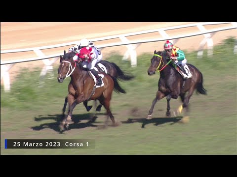 Galoppo corse  del 25 Marzo 2023