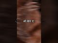 Badan Pe Sitare Lapete Hue Mohammed Rafi Whatsapp Status Old Songs Shorts