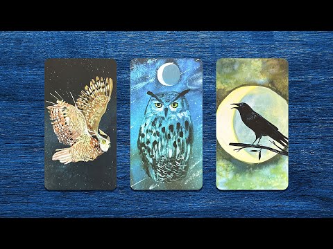 How is he without you? 🥺❤️‍🔥 💜 Interactive Tarot 💜