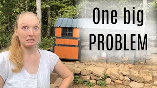 UPDATED review of the Producer’s Pride Guardian chicken coop