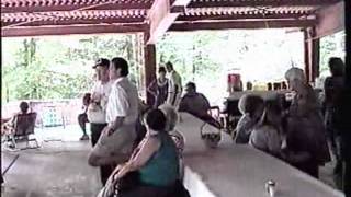 preview picture of video 'Castle family reunion 1998 at Eastman picnic shelters at Bays Mountain'