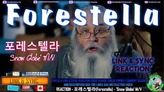 Forestella - Link and Sync Reaction - 포레스텔라 - 'Snow Globe' M/V