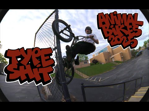 ANIMAL - TYPESHIT - (2025)