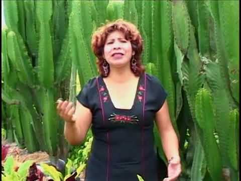 JULIA ILLANES Corazon amoroso (Huayno Ayacucho)