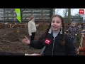IVN wil op ieder Drents schoolplein een bosje