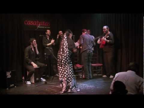 CASA PATAS, FLAMENCO EN VIVO  #13 - PELLIZCOS FLAMENCOS: REMEDIOS AMAYA, CANTAORA
