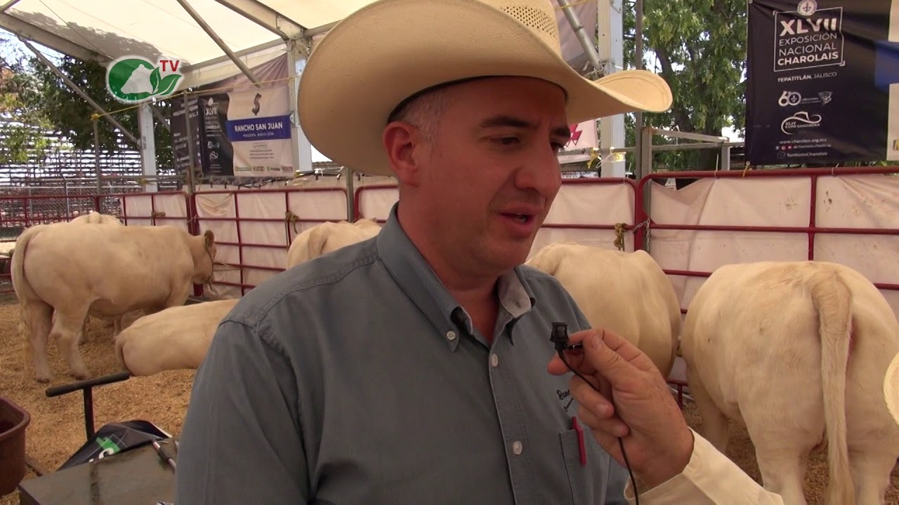 Platicamos con uno de los criadores de charolais con más tradición en México