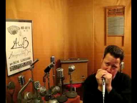 Shure 585sa - Chrome image 4