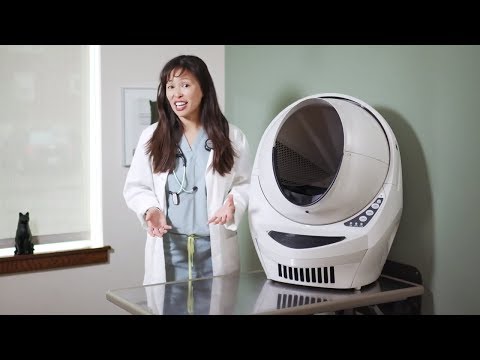 ジャスティン・リー博士が解説する猫のノミ