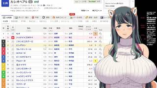 【天皇賞（秋）】いぬ将こと犬耳おばさんの日曜競馬予想配信【カシオペアステークス】