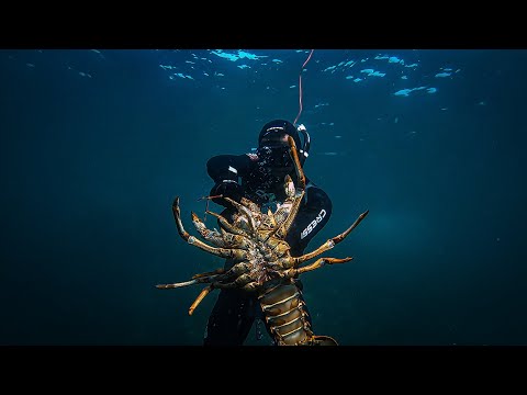 Diving Deep for GIANT Crayfish Catch and Cook!