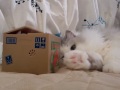 �^�b�`�R