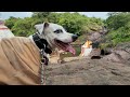 Solo Trek Nahi Bhai Shiro Ke Saath Hi Maza Hai Dil Se Trekker Paw Se Legend VLOG 2
