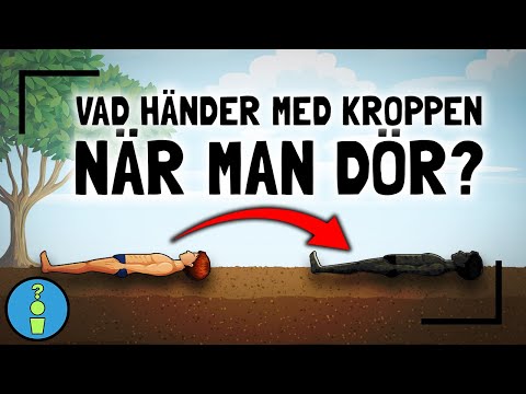 VAD HÄNDER MED KROPPEN NÄR MAN DÖR?