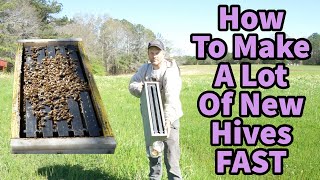 How To Make A lot Of New Hives FAST!!!