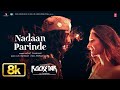 ROCKSTAR Nadaan Parinde 8K Full Song Ranbir Kapoor A R Rahman Mohit Chauhan Irshad Kamil