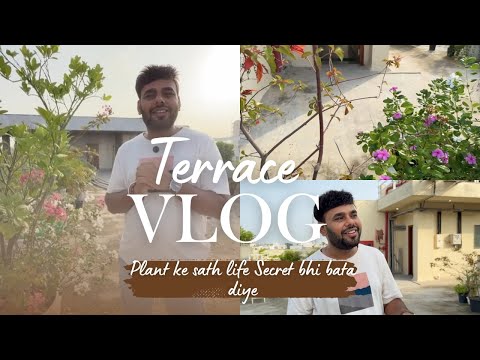 Terrace Therapy for 1 Hour🌿 | Unplanned Morning Vlog ft. Life, Friends & Plants #life #vlog #reality