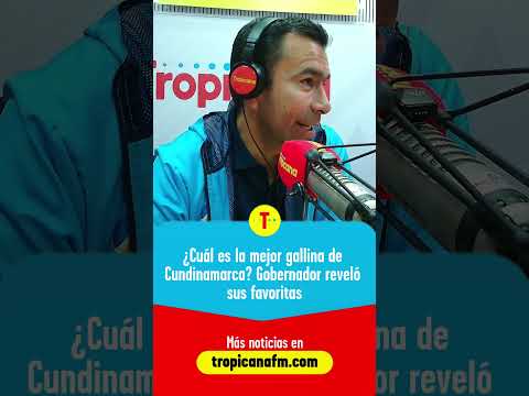 ¿Cuál es la mejor gallina de Cundinamarca? | Cómo Amaneció