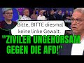 The State Is Failing We Ll Ban The AfD Ourselves SPD Minister Begs Activists