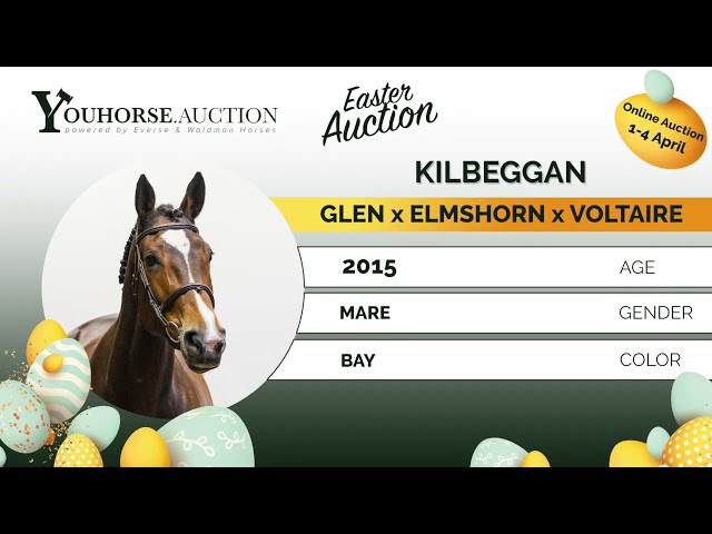 Kilbeggan @ show outdoor