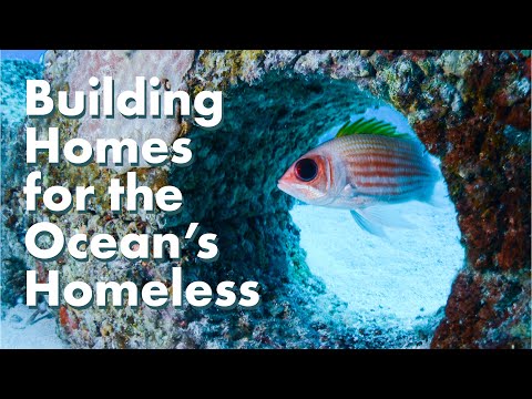 Rebuild Coral Reefs With Nanoscience