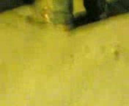 i sandali di don kikko