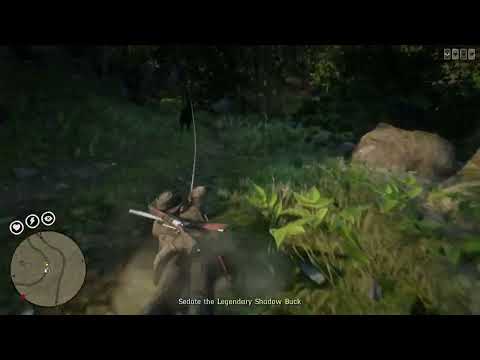 Shadow Buck Built Different -Rdo