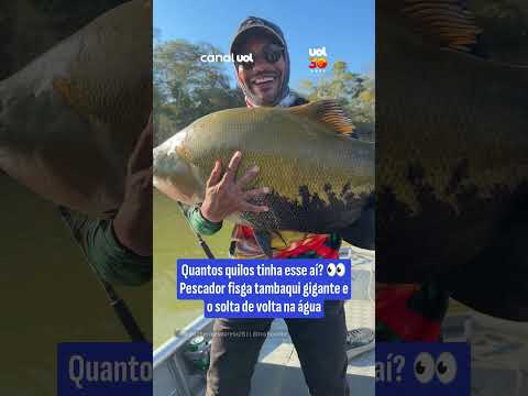 Pescador fisga tambaqui gigante e o solta de volta na água