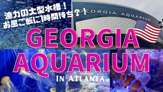 【ジョージア水族館】息子くん初の水族館🦈🪸お隣ジョージア州まで🚗 ◆ 国際結婚 | アメリカ生活 | アトランタ |RomanianJapanese #8