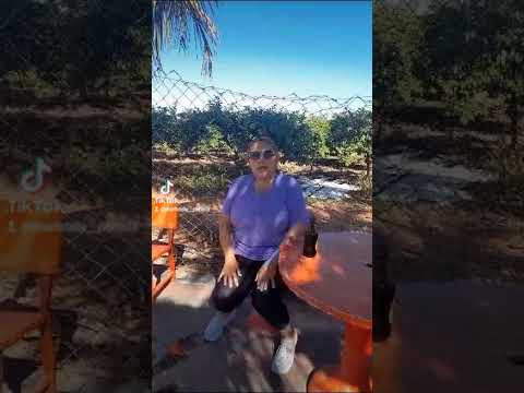 sitio em vista Alegre do alto são Paulo Brasil