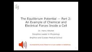 Equilibrium potential: the chemical and electrical forces on an ion pt 2