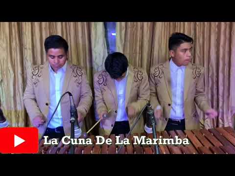 Conquistando Corazones - Marimba Sonora GC ❤️