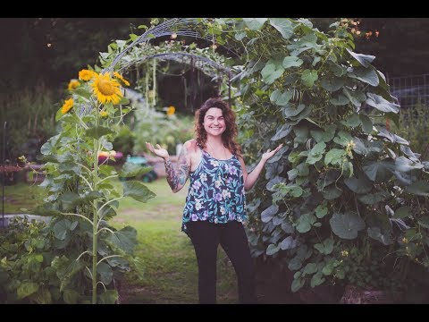 How to Build An Arched Trellis for 30 Dollars | Vertical Gardening