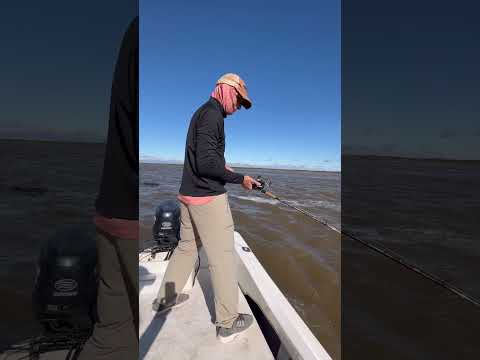 Pique de dorado en Santa Elena,Entre Rios