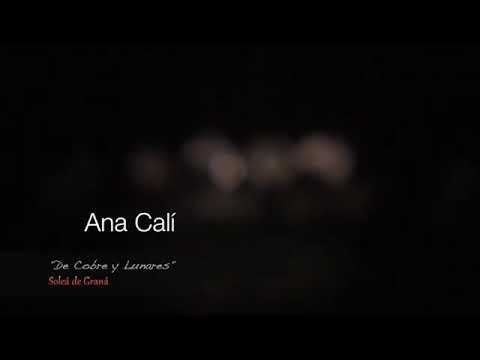 ANA CALÍ - SOLEÁ - FLAMENCO VIENE DEL SUR - TEATRO ALHAMBRA