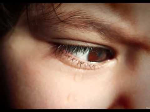 Mensura Bajraktarevic - Rosa Majka