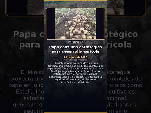 Papa consumo estratégico para desarrollo agrícola
