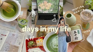Slice of life 🪴matcha making, cooking, drawing 🌱days at home
