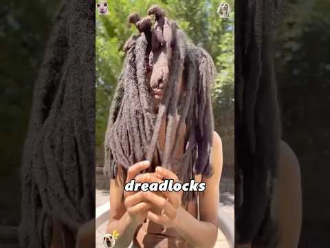 The process of cleaning dreadlocks #amazing #facts #didyouknow #amazing #knowledge