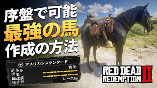 【RDR2】最強の馬を作ろう！馬の性能を最大限引き出す【レッドデッドリデンプション2】
