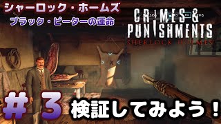 シャーロックホームズ　罪と罰　Chapter＃３　ブラック・ピーターの運命　Sherlock Holme　Crimes and Punishments