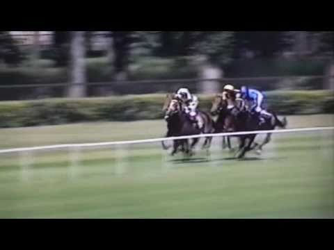 Nagroda Próbna - 26.06.2004 - Dżesmin (Professional - Dżakarta)